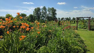 Rozpoczynamy Wakacje ☀️ Dynamiczny spacer po całym ogrodzie 🌸🌾🌳🦋230624 [upl. by Trainer]