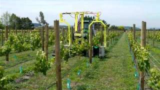 Weed spraying with the Moteo Ridge undervine sprayer [upl. by Llywellyn493]