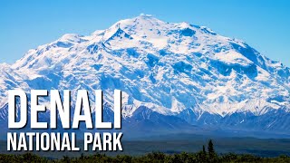 Denali National Park [upl. by Learrsi]