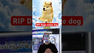 RIP Doge meme dog [upl. by Aicemaj632]