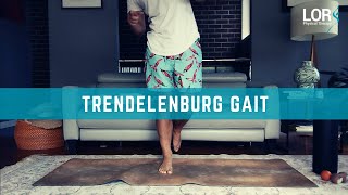 How to Fix a Trendelenburg Gait  LOR Physical Therapy [upl. by Ultan]