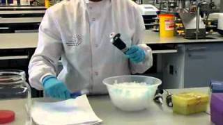 How to Perform a Polymerase Chain Reaction  William Armour amp Laura Towns [upl. by Kano108]