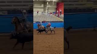 10 year old heel horse and 19 and under average on two championsrodeos cowboy [upl. by Sirob]