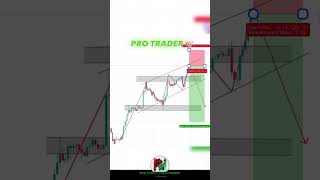 NEW TRADER VS PRO TRADER stockmarket howtotradechartpatterns trading whatnottodointrading [upl. by Spalla707]