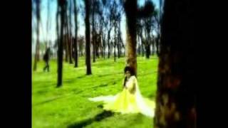 Boohey Barian by Hadiqa Kiani subtitle [upl. by Llet]