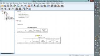 One Sample T Test  Thực hành phân tích One Sample T Test dùng SPSS  Nhóm MBA thực hiện [upl. by Neb]