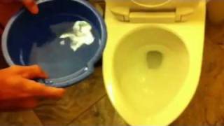 How things work Flushing a toilet using a bucket of water [upl. by Ainej]