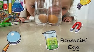 Bouncin’ Egg  Science Experiment [upl. by Burrows245]