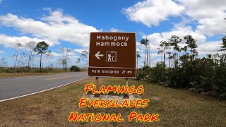 Mahogany Hammock Boardwalk Trail  Everglades National Park [upl. by Dorisa308]