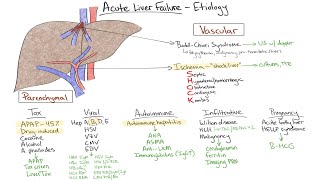 Chalk Talk Acute Liver Failure [upl. by Murdoch]