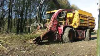 Forestry in Holland [upl. by Tibold]