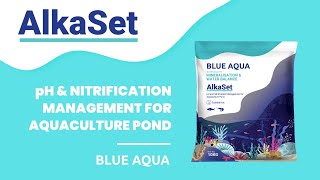 Alkaset pH and Nitrification Management for Aquaculture Pond [upl. by Tilla]