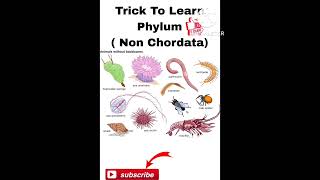 Trick To Learn Phylum Non Chordata [upl. by Enivid44]