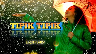 Tipik Tipik Jhiri Jhiri Jol Poriche  tipik tipik jol poreche lofi song  Purulia Lofi Mix [upl. by Hailey791]