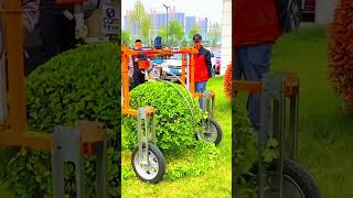 Shrub pruning process with electric trimmer [upl. by Eecyak]