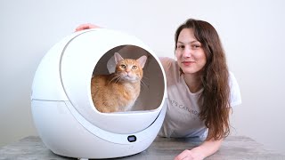 Petree Automatic SelfCleaning Litter Box Review We Tried It for 2 Weeks [upl. by Agueda]