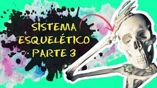 Aula 03 SISTEMA ESQUELÉTICO  PARTE 3  Esqueleto axial crânio coluna vertebral e tórax [upl. by Araccat]