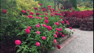 A Walk Through Beautiful Cantigny Park August 21 2017 [upl. by Hilbert162]