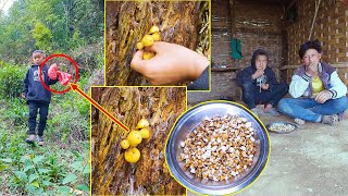 We are Picking wild mushroom in Jungle  Enjoying Popcorn togetherManjitamrnati [upl. by Lynnworth273]