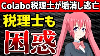 税理士「おかしい」「いい加減」Colaboの会計に苦言。なる君が鋭い指摘。へな・ちょこお氏、例の本を購入【Colabo騒動】 [upl. by Ignatz]