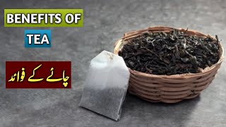 Benefits Of Tea  Chai Ke Faidy  Sarfaraz Islahi youtubeshorts ytshortsvideo tea greentea [upl. by Sheffie]