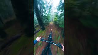 Warp SPEED Loam mtb [upl. by Aehtorod890]