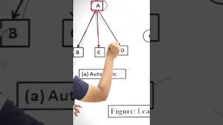 leadership and its styles  Directing  Class 12 BST shorts cbseboard2023 cbse cbseclass12 [upl. by Solim]