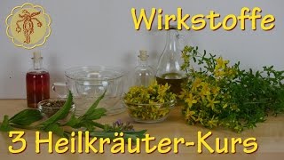 HeilkräuterKurs Teil 3 Wirkstoffe [upl. by Ellennahc]