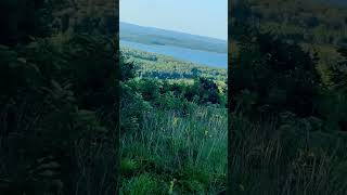 Overlooking Greer’s Ferry Lake naturalstatedreamscape [upl. by Arbmahs109]