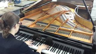 Piano BOSENDORFER 225 de 1980 [upl. by Ahel]