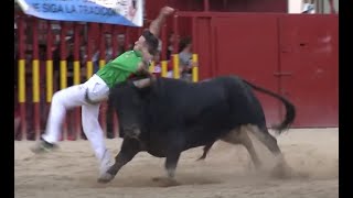 Concurso de Recortes con Toros Arganda del Rey 2014 [upl. by Asilej71]