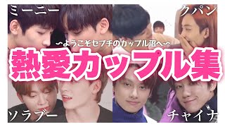 【SEVENTEEN세븐틴】セブチのレジェンドカップル 《日本語字幕》 [upl. by Isoj]