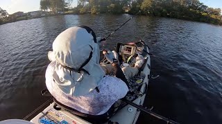 DAY 2 Fishing for Bream and Flathead at Wallis Lake  Forster [upl. by Refotsirk]