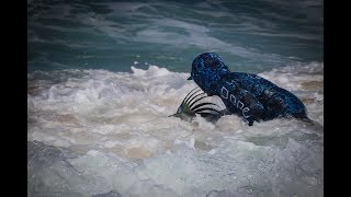 Surffishing for Rooster fish Puerto vallarta Mex [upl. by Perrin509]