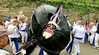 Padstow May Day 2022 and the Blue Ribbon Obby Oss [upl. by Waverly55]