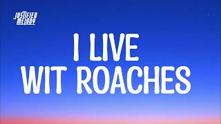 I Live With Roaches  Tiktok Song Lyrics [upl. by Marlin]