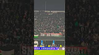 Celebración Primer Gol Iván Román Barra Los Baisanos Palestino Copa Sudamericana 2024 ⚽️🏆 futbol [upl. by Idnac306]