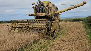 New Holland Combine seen better days but still doing a good job [upl. by Ecinrahs]