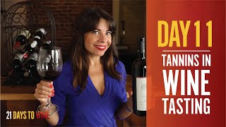 What are Tannins in Wine  Day 11 [upl. by Harrad]