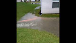 Drainage Problems Flooding All Neighbors Down Hill [upl. by Namdor]