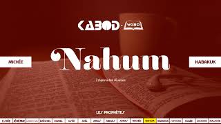 « Nahum » LAncien Testament  La Sainte Bible audio VF Complète [upl. by Nerfe740]