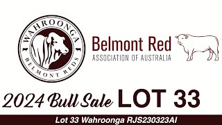 Lot 33 Wahroonga RJS230323AI [upl. by Gaston]