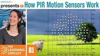 How PIR Motion Sensors Work  The Learning Circuit [upl. by Edmond]