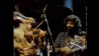 Stéphane Grappelli and David Grisman  Sweet Georgia Brown San Francisco 1982 official HQ video [upl. by Roddie826]