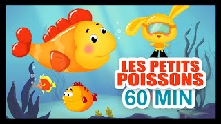 Les petits poissons dans leau  1H DE COMPTINES POUR LES PETITS  Titounis [upl. by Bresee]