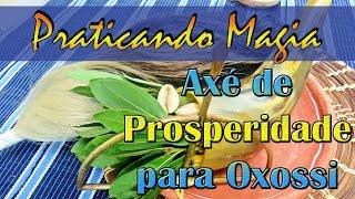 Axé de Prosperidade para Oxossi  Praticando Magia 1 [upl. by Tiphane]