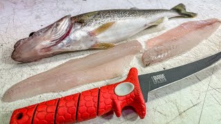 How To Get The PERFECT Walleye Fillet EVERY Time [upl. by Nelag]