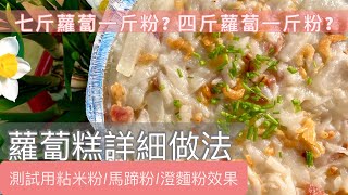 2020蘿蔔糕食譜 馬蹄粉澄麵粉不同比例份量 詳細做法 [upl. by Adamsun]