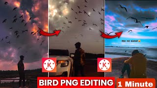 Bird PNG Editing 1 minute main smartphone editing videoediting instareels newedit kinemaster [upl. by Ij647]