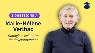 Découvrez MarieHélène Verlhac biologiste cellulaire du développement  Rejoignez le CNRS [upl. by Enitsej]